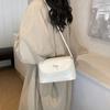 Stylish Summer Butterfly Knot Fashionable Shoulder Crossbody Bag For Trendy Chic