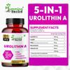 Humming Herbs Urolithin A Komplex - 250 mg Urolithin A mit CoQ10, PQQ, Resveratrol & Vitamin D3 - 5-in-1 Mitochondriale & Zelluläre Energieunterstützung -