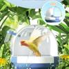Safe Door Lock Small Pet Box Easy To Carry Hamster Carrier Transparent Parrots Carry Cage  Travel