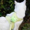 Soft Padding Cat Harness Set Adjustable Vest Harness Escape Proof Harness  Outdoor Walking