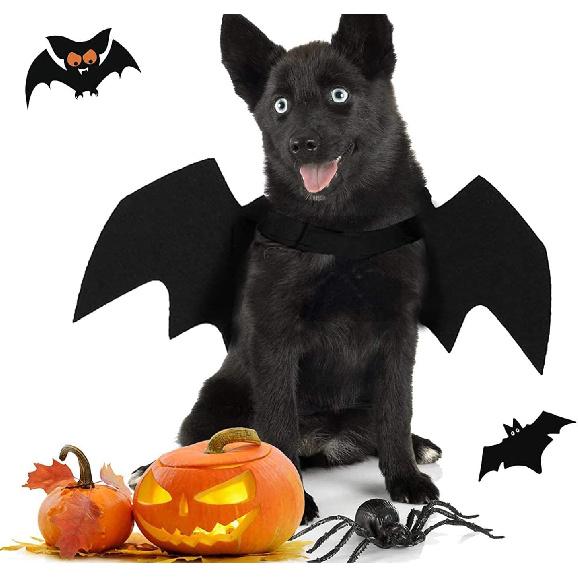 Halloween Dog Bat Costume with Leash Cat Pet Bat Wings Clothes Funny Apparel Outfit Dress Up Accessories for Cosplay Party XL