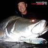 Daiwa Morethan Ray J156F 156mm Fishing Lure Soft Bait Natural Color