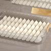 Plastic Dumpling Storage Box Multi-Layer Food Egg Frozen Box Practical Wonton Storage Box  Kitchen