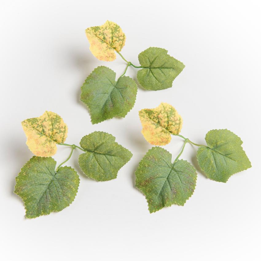 

Artificial Cheap Grape Leaves Fake Plants Wedding Wreath Festival Wreath Home Decor Outdoor YardGarden Silk Maple Leaf Ornaments 50 pcs светло-зеленый