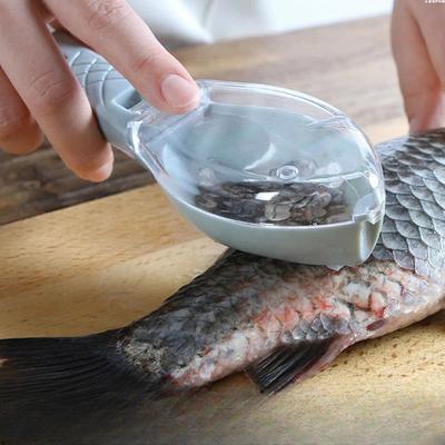 Fischschuppen-Gitterschaber, Fischreinigungswerkzeug mit Abdeckung, Schaber, Haushaltsküche, Kochen, Karpfenangeln, Zubehör