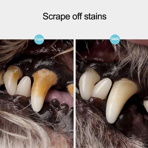 1pc Pet Teeth Cleaning Scraper Stainless Steel Double Headed Dog Tooth Scraper Pet Tartar Cleaning Tools Pet Accessories
