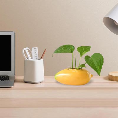 Desktop-Ornament Keramik-Mangovase Handarbeit Kreativ Hydroponischer Blumenhalter Simulierter Exquisiter Blumentopf Geschenk