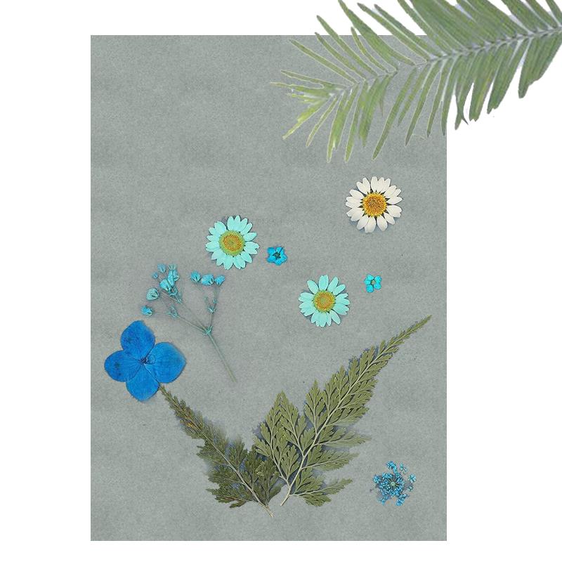 32 Stück Natürliches A5 Cyanotypie-Papier Leichtes Einzigartiges Sonnenlicht-Druckpapier-Set Für DIY-Kunsthandwerksprojekte