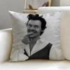 Federa Cuscino Artista Musicale Harry Styles Morbida e Facile da Lavare – Versatile Per Divano, Letto, Viaggio E Ufficio