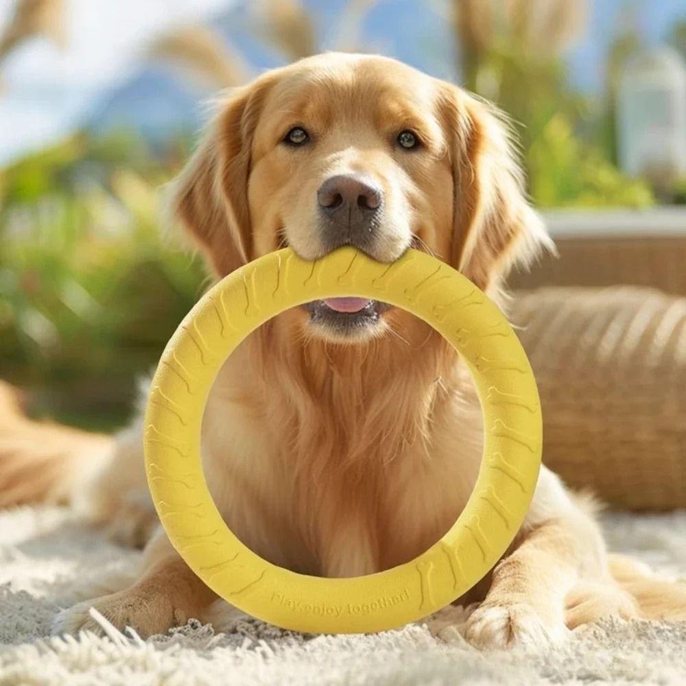 29cm Dog Chew Toy Teeth Cleaning Indestructible Pull Ring Toy Dog Chew Rings  Large Dogs