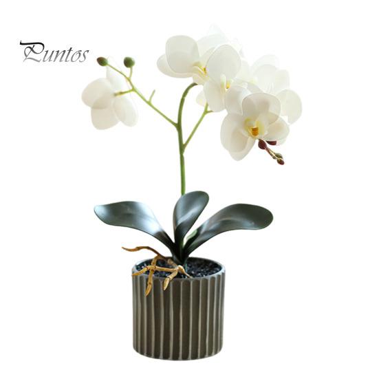 

Искусственное растение в горшке, искусственная орхидея-мотылек, бонсай, настольный искусственный фаленопсис, цветы для домашнего обеденного стола, украшения офисного стола белый