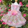 Luxury Lace Princess Dress for Small Medium Dogs Cats Handmade Fashion Pet Skirt with Tail Perfect for Puppy Parties Photography