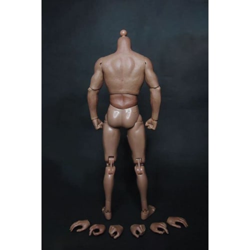 1/6 Head Sculpt Model Fits 12-inch Male Action Figure