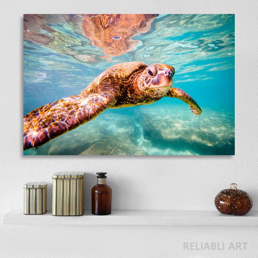 Green Sea Turtle Swims Underwater Wall Pictures Canvas Painting Ocean Marine Life Animal Posters Prints for Living Room Decor