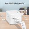 HPRT D35 80mm Thermal Label Printer CN plug (adapter included)
