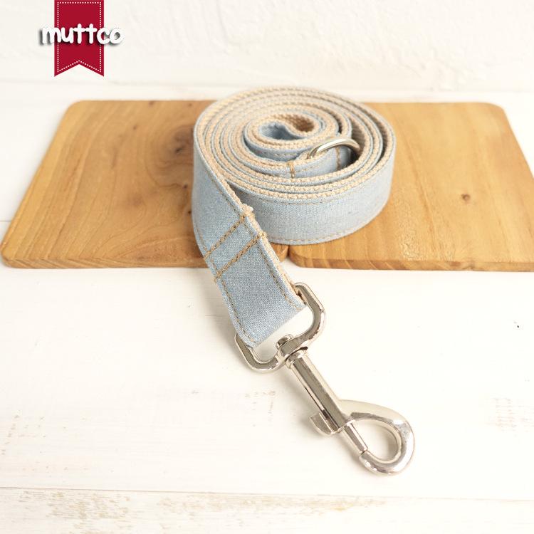 Custom Blue Dog Leash and Collar Set