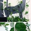 30Pcs Climbing Plant Wall Clips Leaf-Shaped Plant Fixer with Glue Tape Hanging Plant Tools Tomato Vine Hook Climbing