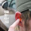 3M 1100 Noise Cancelling Earplugs