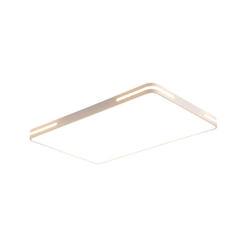 Modern Stepless Dimming LED Ceiling Light