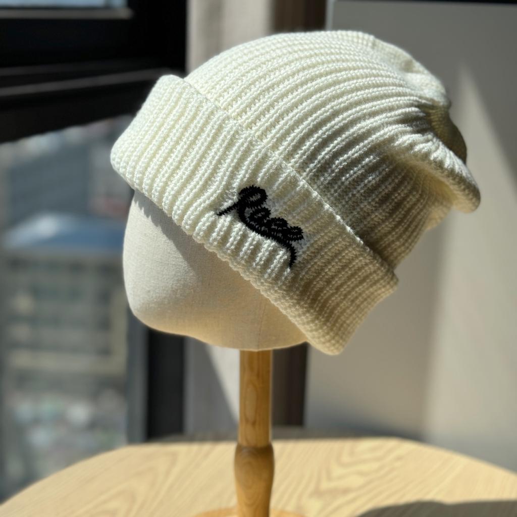 Autumn and Winter Korean Version Street Versatile Three-dimensional Letter Embroidery Warm Knitted Hat Ear Protection Cold Hat for Men