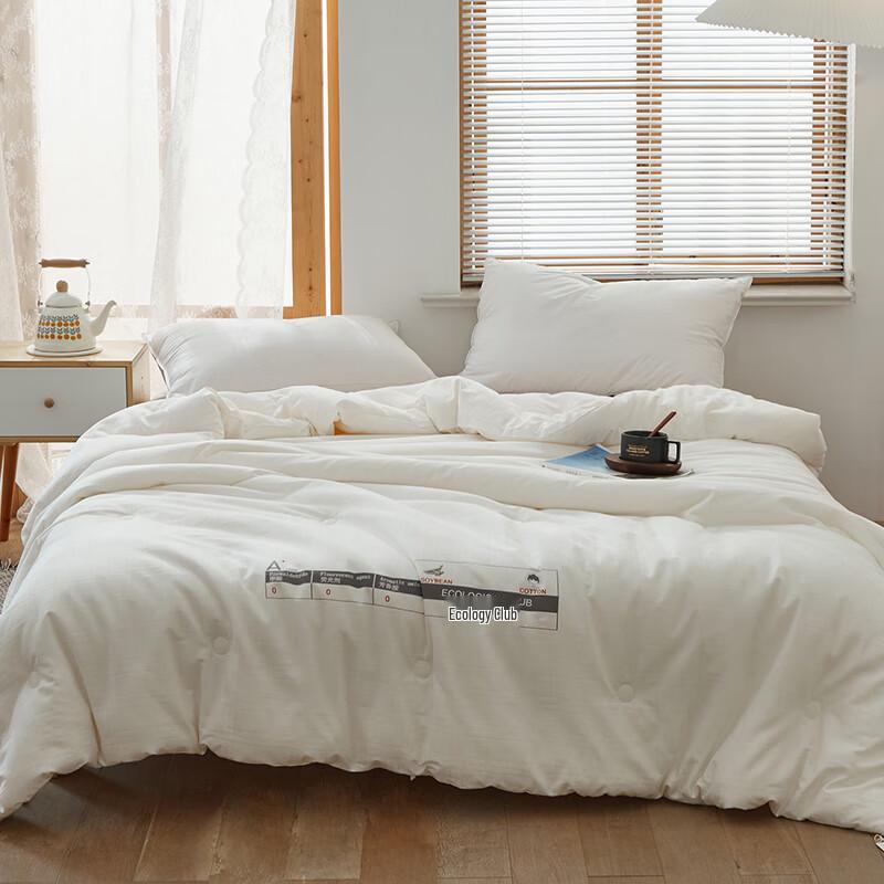 CHANSI Soy Fiber & Polyester Spring/Autumn Quilt