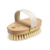 CARELIA - NATURAL CARE Anti-cellulite Massage Brush 1 U