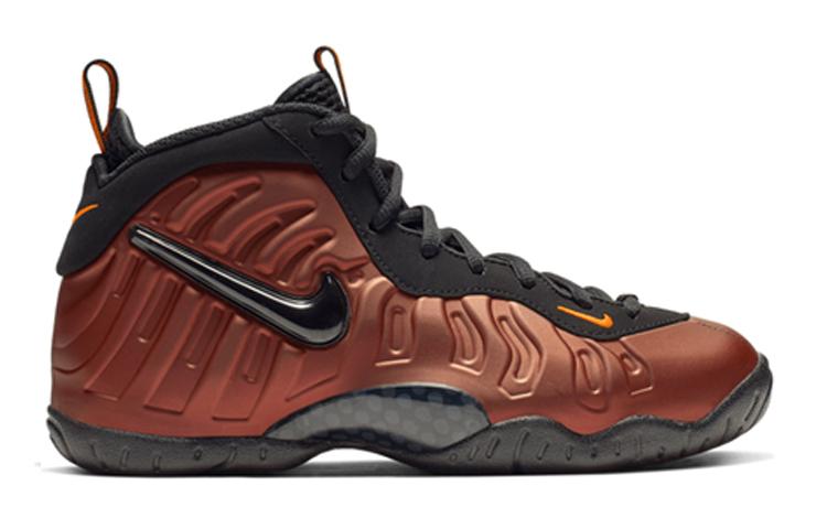 Nike Air Foamposite Pro Color Shift GS 644792-800