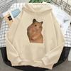 Hamster Cute Graphic Printed Hoodies Women Graphic Kawaii Anime Fleece Pulls Sweater Women Autumn Winter Hoodies Clothing