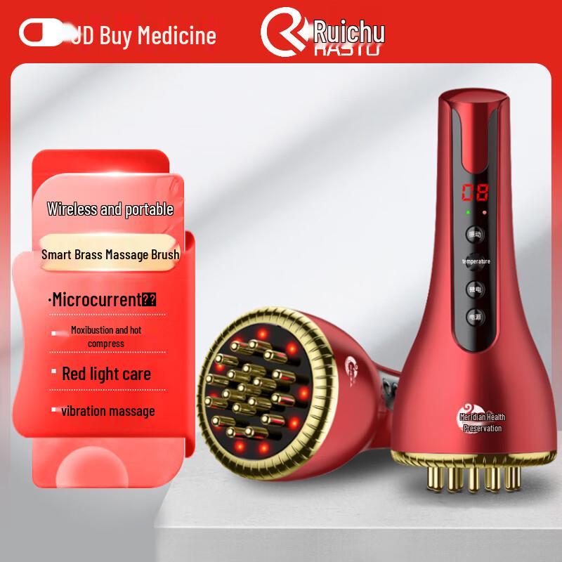 Ruichu Electric Meridian & Guasha Massager