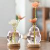 Transparent/Pink Creative Bubble Glass Vase With Wood Base Desktop Decorating Flowerpot Home