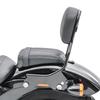 Sissy Bar compatible avec Harley Davidson Softail 18-25 Craftride R1 detachable noir + Porte Bagages p. Sissy Bar