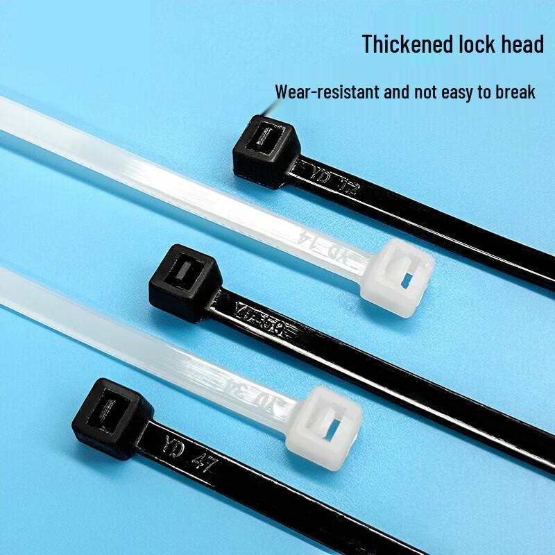 Dachang Lanyue Nylon Cable Ties