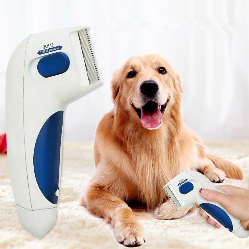 electric dog comb