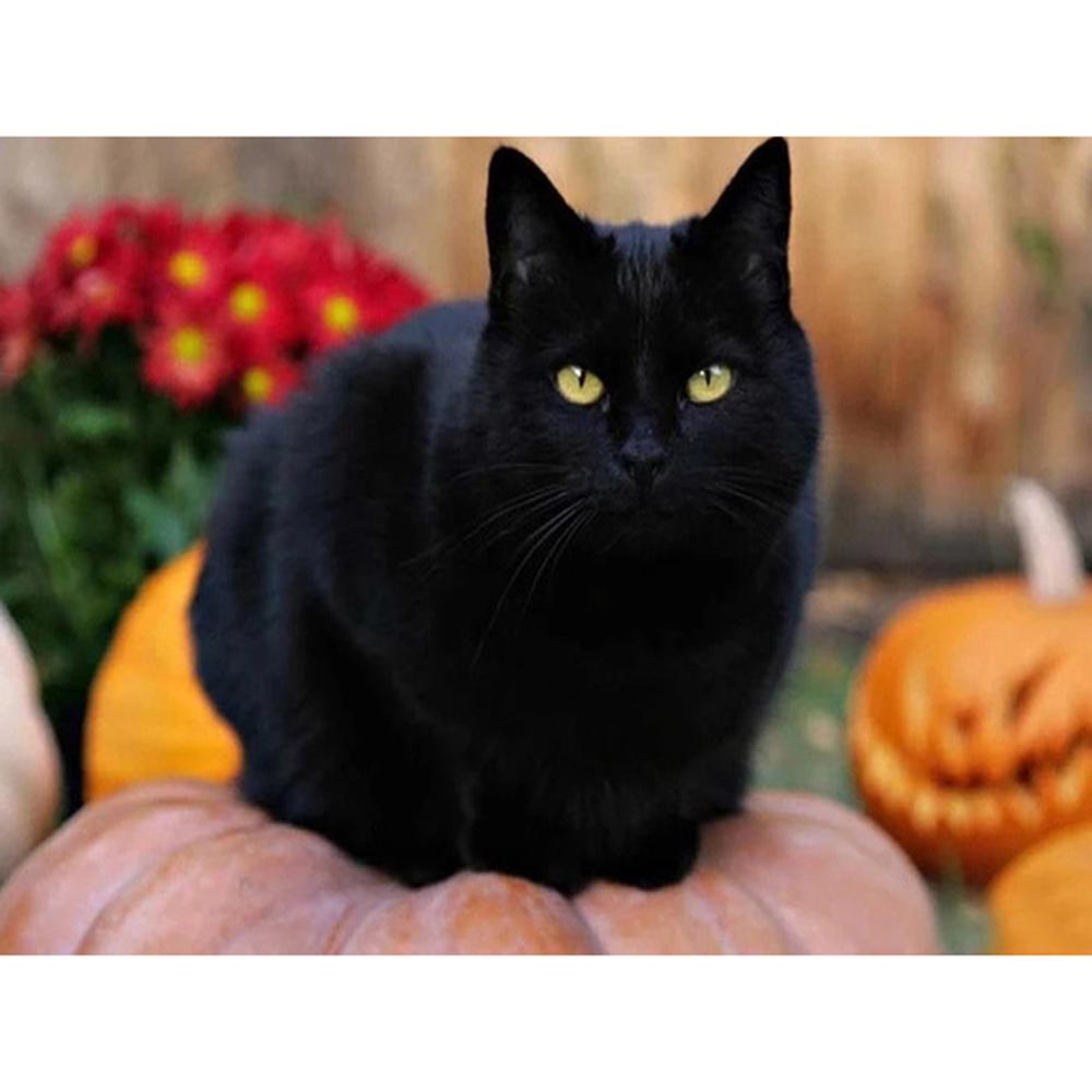 Diamond Painting Kit Black Cat Animal Diamond Embroidery Mosaic Handmade Picture Of Rhinestones Gift Home Decor 5d Diy