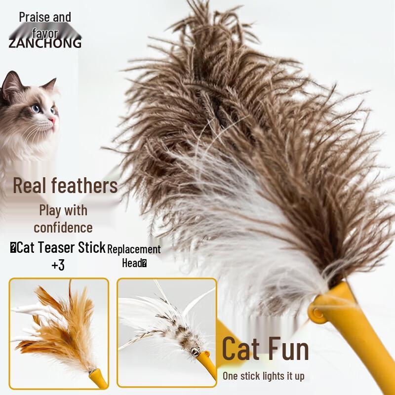 Zanchong Ostrich Feather Cat Teaser Toy