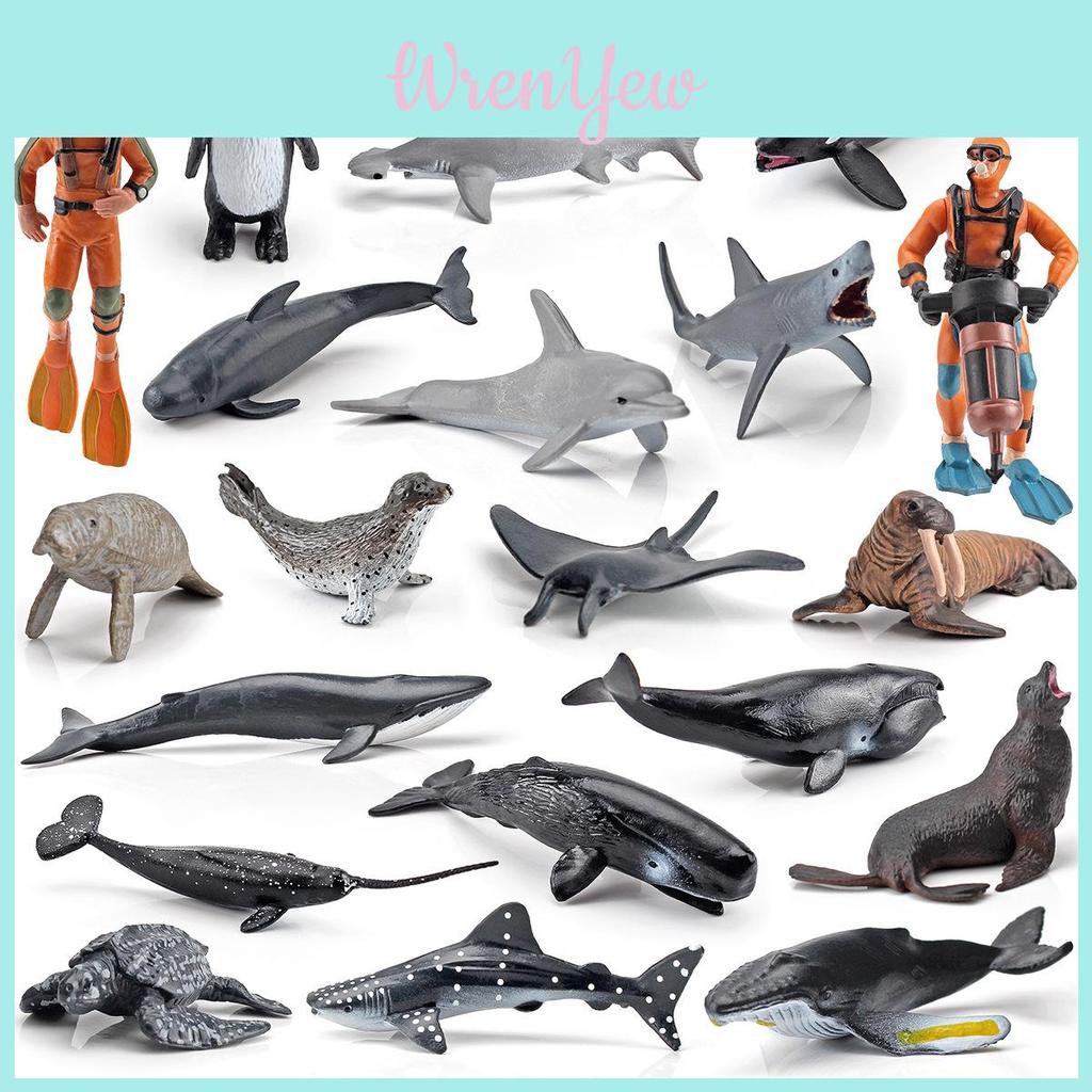 Dolphin Penguin Seal Pvc Display Models With Authentic Marine Animal Figures For Collection