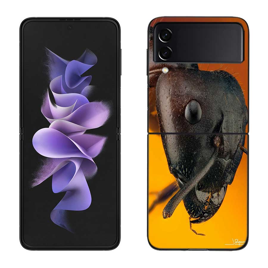 Red Fire Ants, Worker Ants Phone Case For Samsung Z Flip 7 6 5G Galaxy Z Flip 5 4 3 Black Hard Cell Cover Luxury PC Shell Coque