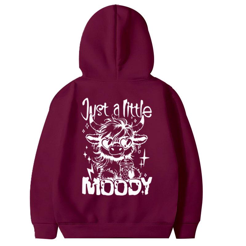 2025 Unisex European & American Style Trendy Pullover Hoodie for Spring and Autumn XL