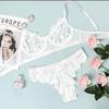 Neues modisches Spitzen-Push-Up-BH- und Low-Waist-Höschen-Set, sexy Dessous-Set