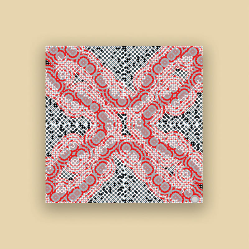 2DREAMERS Red Eco Silk Scarf