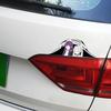 Accesorii de exterior – Autocolante pentru auto