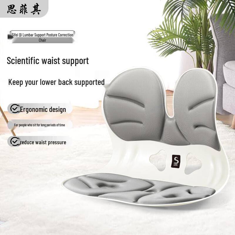 Sifeiqi Ergonomic Memory Foam Lumbar Support Seat Cushion