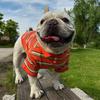 INS New Pure Cotton Pet Shirt Striped T-shirt Dog Shirt Dog Clothes Yorkshire Terrier French Bulldog Clothes