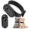 Wireless Cat Dog Collar Camera Outdoor Pet Collar Camera With Screen 1080P Video Recording Dog Tracker Collar Pet Dog Products