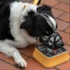 Adjustable Breathable Dog Muzzle for Anti Eating, Licking and Biting with Hollow Basket Design