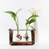 Vintage Glass Vase Transparent Hydroponic Plant Vase with with Wooden Stand for Tabletop Home Decor
