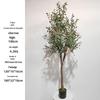 Olive Tree Potted Plant - Indoor Decor Simulation for Living Room