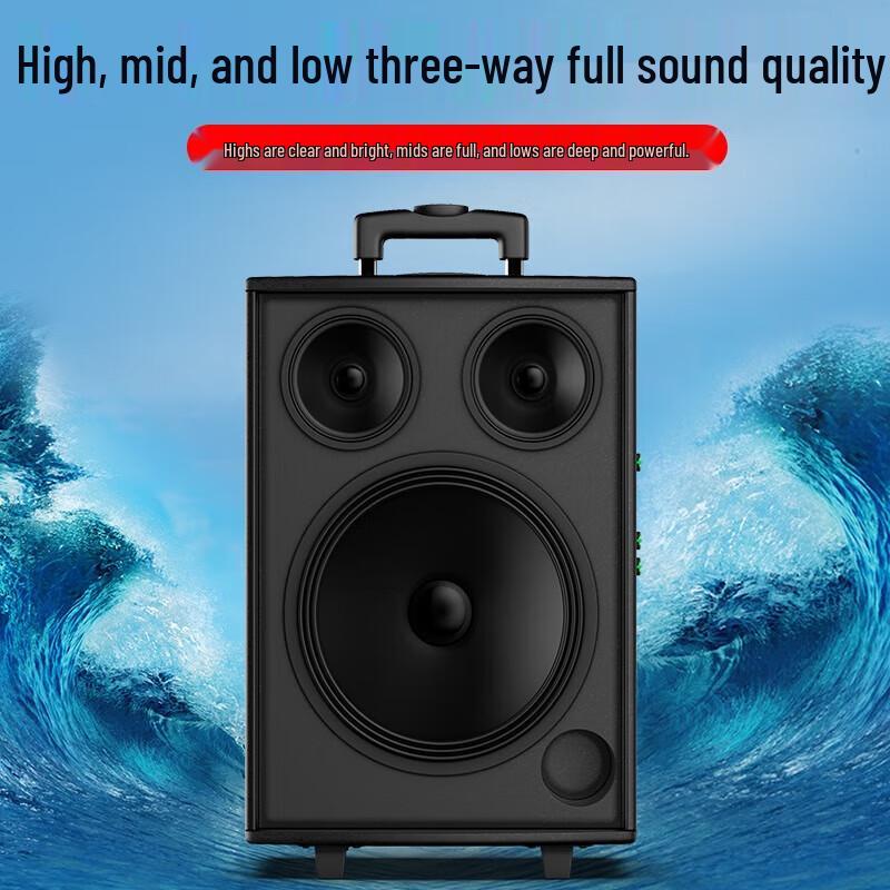 Suoai 12-inch Portable Trolley KTV Bluetooth Speaker