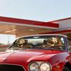 Fun Windscreen Sunshade Universal Foldable Front Window Sunshade UV Rays And Heat Cute Windscreen Cover