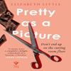 Pretty As a Picture by Elizabeth Little Paperback Book 9781782277019